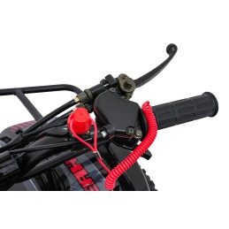 Quad Spalinowy WILDPEAK 110cc Czerwony