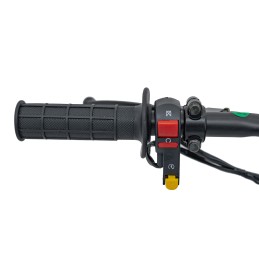 Pojazd Motor Spalinowy 110CM IMMORTAL Zielony Cross dla nastolatka